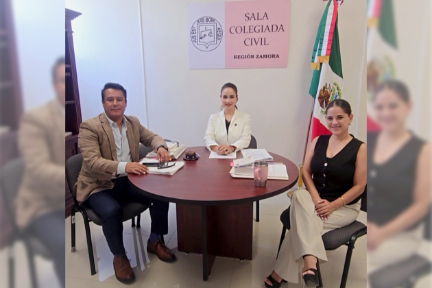 La Sala Colegiada Civil Región Zamora aprueba por unanimidad diversos proyectos en sesión ordinaria 